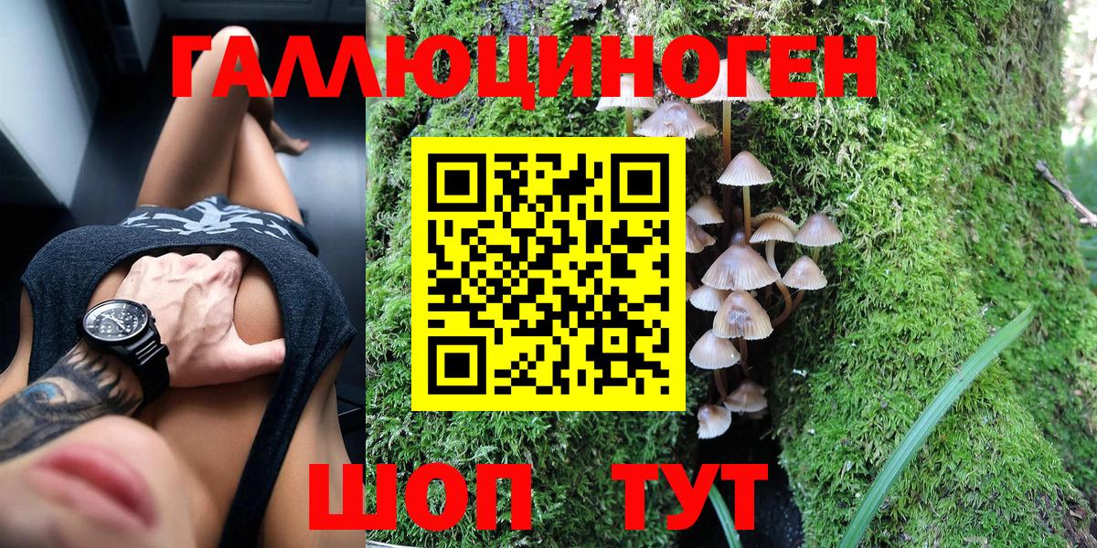 Ярцево  Галлюциногенные грибы прущие грибы  Псилоцибиновые грибы мухоморы  Вход с VPN 